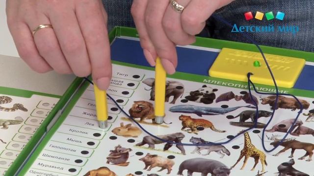 Электровикторина Educa Conector Животный мир