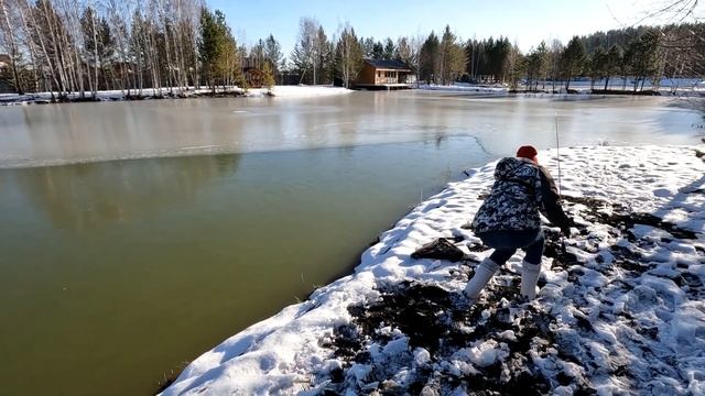 ЛЕГКО ЛИ ПОЙМАТЬ РЫБУ НА ПЛАТНИКЕ? Форель на спиннинг поздней осенью. смотреть онлайн