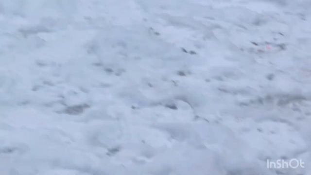 Спортзона,поимки смотреть онлайн