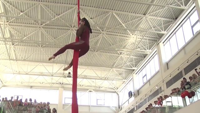 Ура! К нам приехал цирк в ЭкоБазар-Обнинск смотреть онлайн