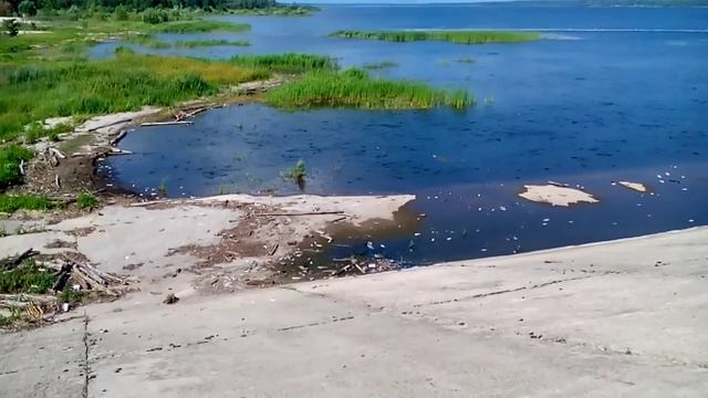 лещ больной смотреть онлайн