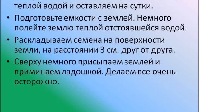 Как сажать томаты на рассаду? Видео Екатерины Хлебниковой смотреть онлайн