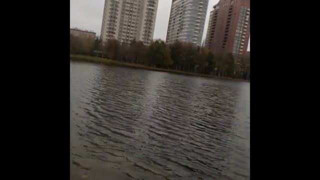 МГУ ВОРОБЬЕВЫ ГОРЫ ПАРК ОЗЕРО смотреть онлайн