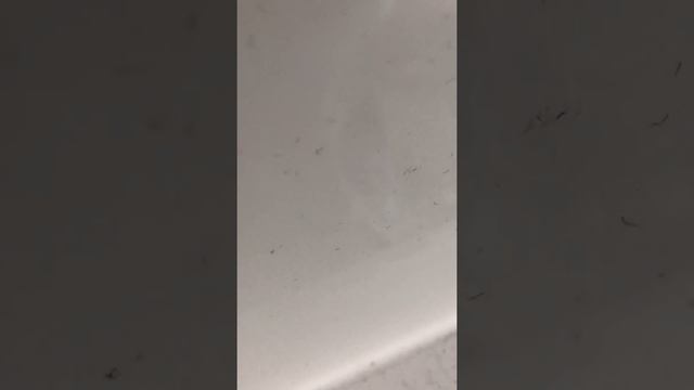 Kip muziek смотреть онлайн