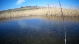 TM ‘’ Simov’’ легендарная имитация майского жука по ловле голавля