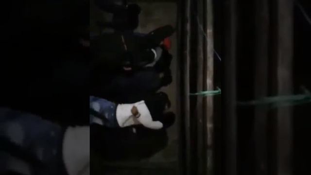 Sanjuan 2020 смотреть онлайн