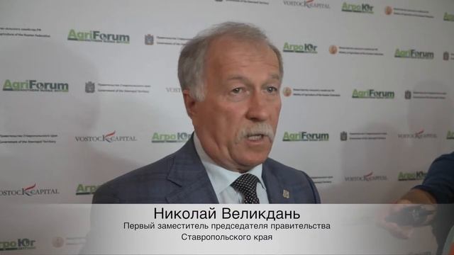 Николай Великдань, первый заместитель председателя Правительства, Ставропольский край смотреть онлайн