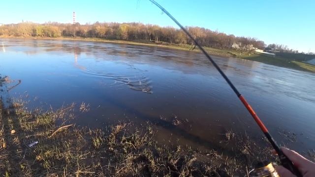 Ловля жереха на блесну. Весенняя рыбалка 2019 в городе. Приманки на жереха смотреть онлайн
