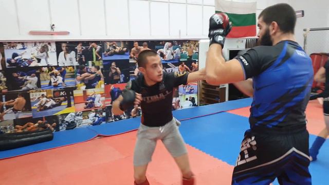MMA - СК "Бойни Спортове - Монтана" смотреть онлайн