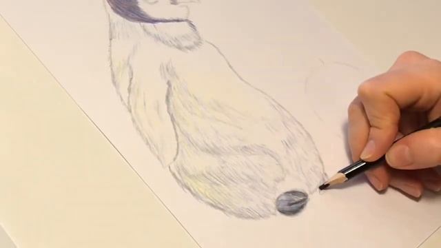 Рисуем цветными карандашами.Пингвиненок.Пошагово.Простые рисунки для начинающих. смотреть онлайн