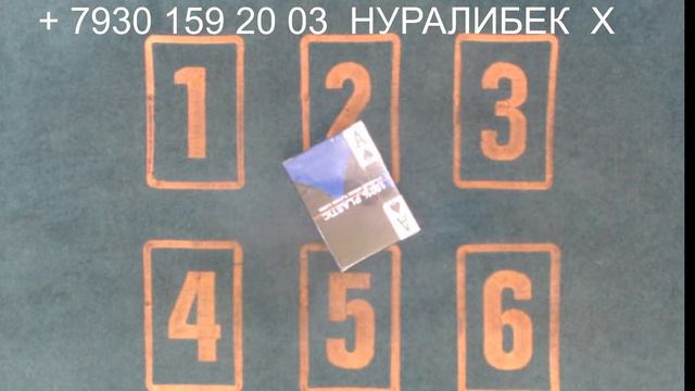 #сека #свара #тринка Уйинларимиз Бошланди Хаммага Омад Всем Удачи!!! смотреть онлайн