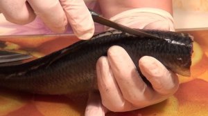 Как почистить селёдку?