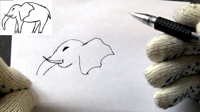Слон для срисовки. смотреть онлайн