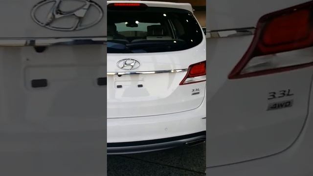 2017 Hyundai Santa Fe Back View смотреть онлайн