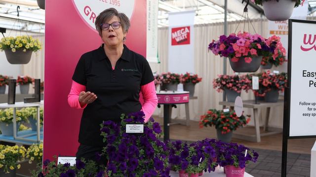 What's New and Improved in the Wave Petunia Brand for 2024 смотреть онлайн