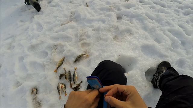 СУМАСШЕДШИЙ КЛЁВ!!! РЫБУ НЕКУДА СКЛАДЫВАТЬ!!! ОТОРВАЛИСЬ ПО ОКУНЮ! смотреть онлайн