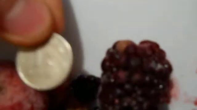 Замороженная ягода (: смотреть онлайн