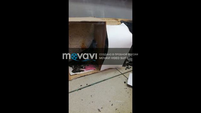 Умный текстиль: современная наука в быту смотреть онлайн