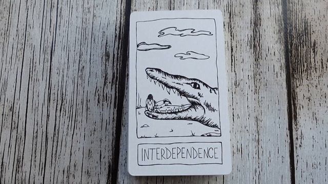 Postcards from The Liminal Space Flip Through #flipthrough #oracle #magik смотреть онлайн