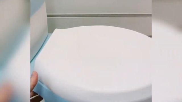 Детский горшок с мягким сиденьем "Унитаз" смотреть онлайн