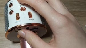 Видео обзор портативной колонки-микрофон ? Wster WS-858.