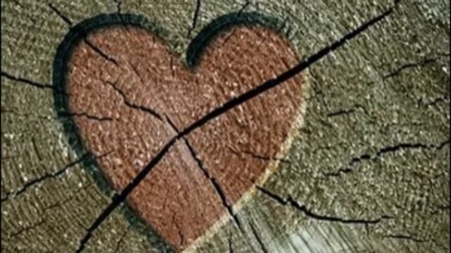 Поделки из дерева Фото иллюстрация смотреть онлайн