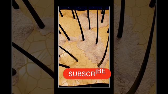 dandruff cause brief explanation 2023 youtube смотреть онлайн