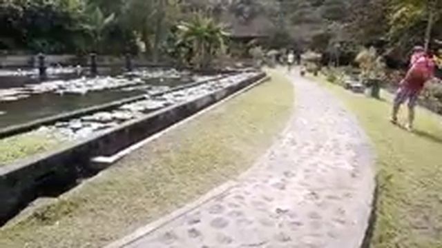 По Бали своим ходом/изучаем остров/Вулкан/Отдых на Бали 4 выпуск bali bali 2019 смотреть онлайн