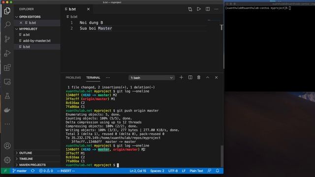Git 06: Làm việc với remote repository trên server lưu trữ git, lệnh git push, git pull смотреть онлайн