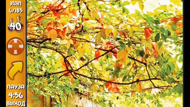 Прохождение игры "Найди Кота HD-поиск котов " уровень 1-9 смотреть онлайн