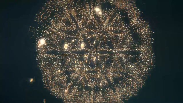 Заставка РойКлуба лого | RoyClub logo Intro смотреть онлайн