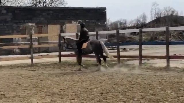ОФП во время карантина. смотреть онлайн