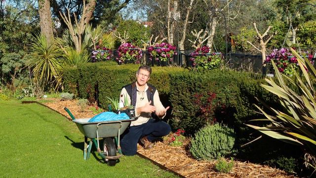 LA PLANTATION D'IRIS DANS NOTRE MIXED BORDER - Que Faire Dans Mon Jardin ? Semaine 14 смотреть онлайн