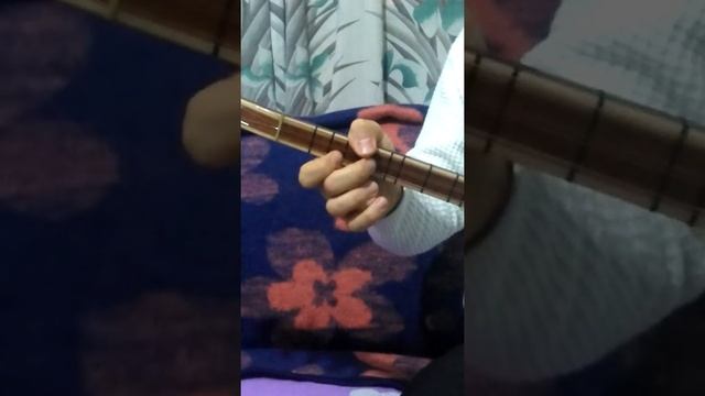 Gelin Ayşe'm-Koyun Gelir Yata Yata Solfej Nota Bağlama смотреть онлайн