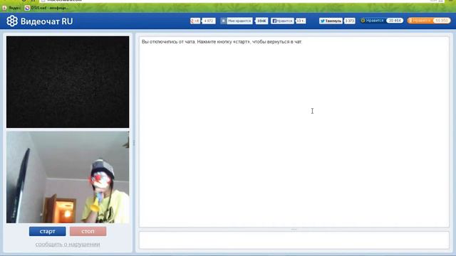 Чат рулетка, Тимон и Пумба