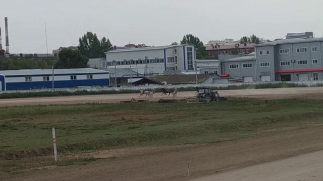 Приз Пиона 2 гит, 03.09.2022 Омск смотреть онлайн