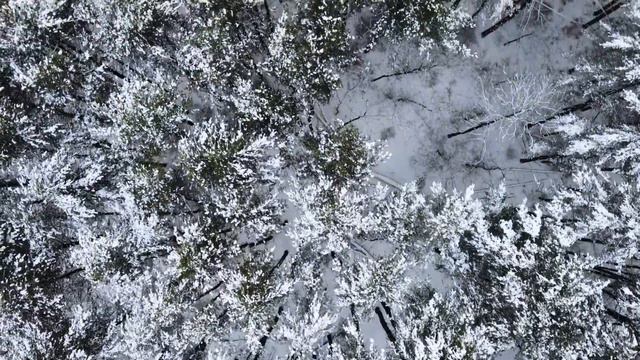 DJI Mini 2 SE: SNOWSTORM AFTERMATH FLIGHT! смотреть онлайн