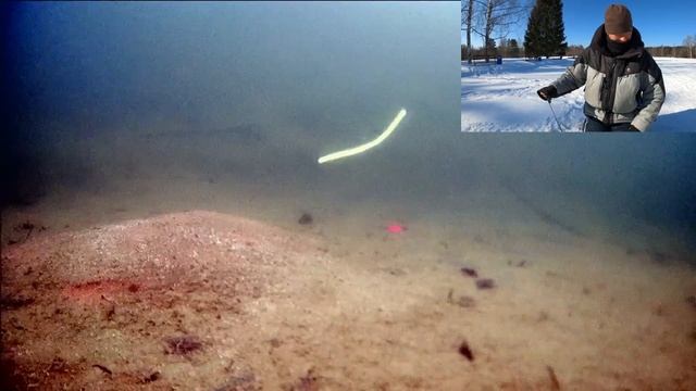 РЕАКЦИЯ РЫБЫ НА ДОШИРАК. Подводная съемка. ЛАЙФХАК. Рыбалка с #OnlySpin смотреть онлайн