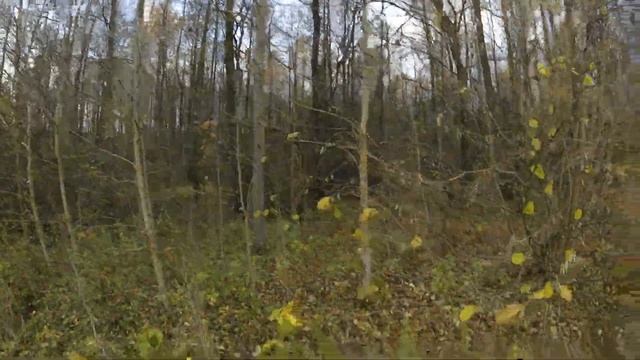 Охота на утку и рябчика 2021 смотреть онлайн