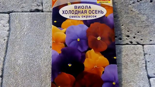 Виола Холодная осень (смесь окрасок) - ознакомление смотреть онлайн