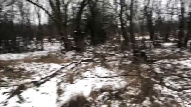 ЗИМНИЙ КОП МЕТАЛЛОЛОМА ВДОЛЬ ПОЛЕЙЕвген Шлык смотреть онлайн