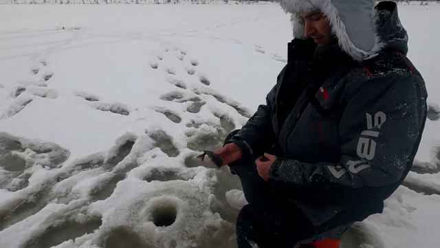 Продолжаем РЫБАЛКУ по ПЕРВОМУ ЛЬДУ 2023-2024. смотреть онлайн
