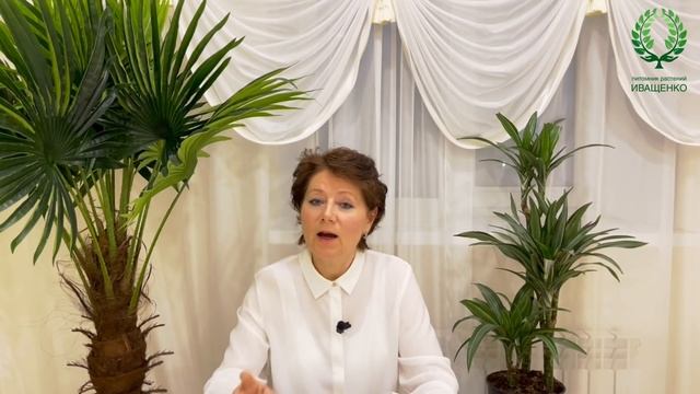 Где расположить цветник с розами?. Питомник ? и ? Е. Иващенко смотреть онлайн