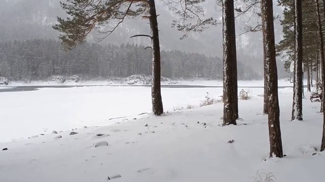Горный Алтай, Зимняя Катунь.