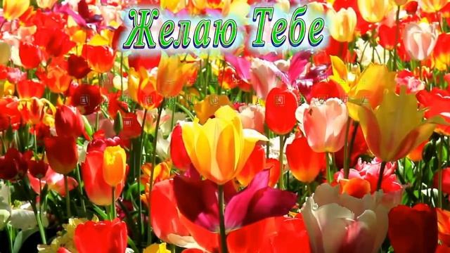 С Днём Рождения Люба смотреть онлайн