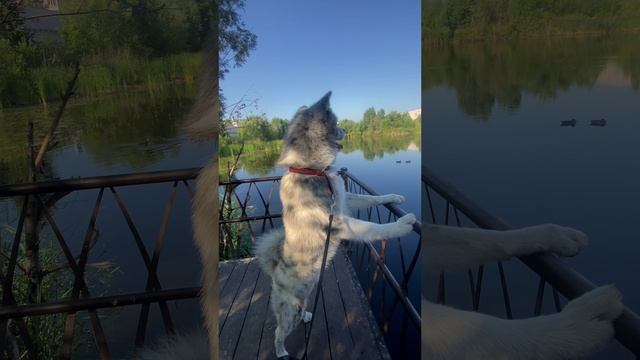 Городская среда смотреть онлайн