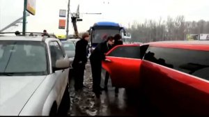 Евгений Курский   Голуби 2018