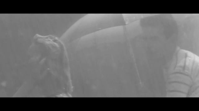 Луч солнца золотого тьмы скрыла пелена👉🎥 ▶️ 😔😹 смотреть онлайн