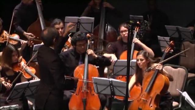 Mozart Symphony No. 40 I, Tel-Aviv Soloists/Barak Tal смотреть онлайн