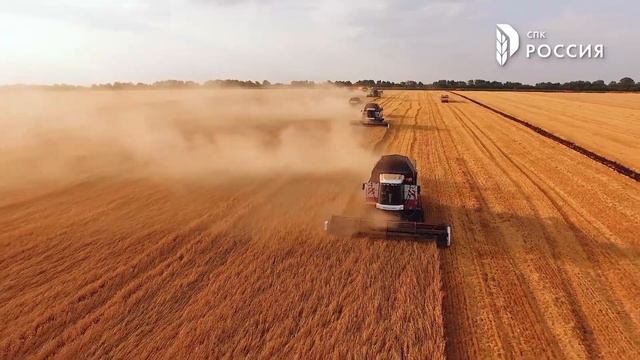 Уборка зерновых 2021 в колхозе "Россия" завершена смотреть онлайн